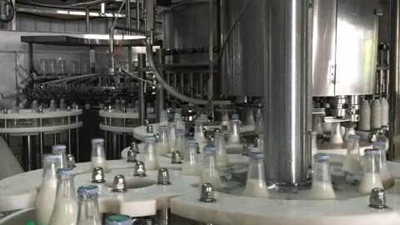 全自动食品机械：型号规格尺寸背后的技术奥秘